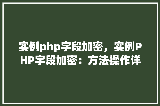 实例php字段加密，实例PHP字段加密：方法操作详解