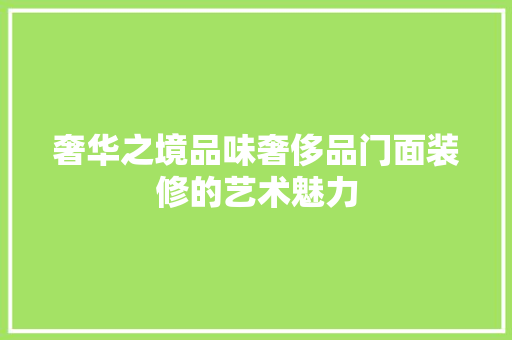 奢华之境品味奢侈品门面装修的艺术魅力