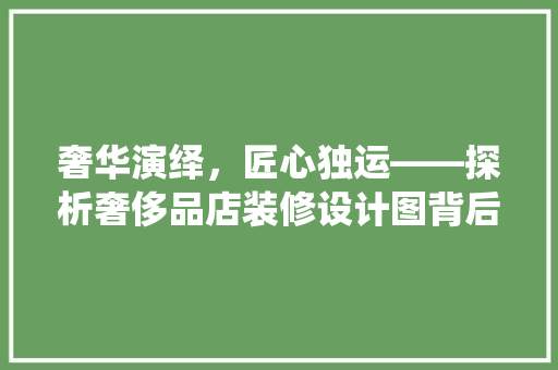 奢华演绎，匠心独运——探析奢侈品店装修设计图背后的美学奥秘
