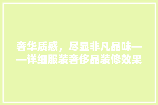 奢华质感，尽显非凡品味——详细服装奢侈品装修效果图的艺术魅力