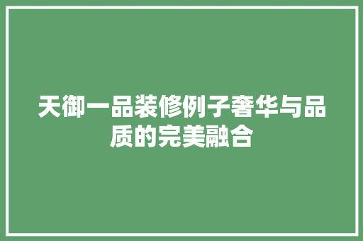 天御一品装修例子奢华与品质的完美融合