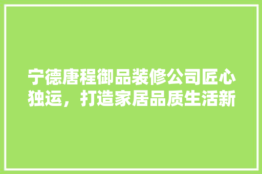 宁德唐程御品装修公司匠心独运，打造家居品质生活新典范