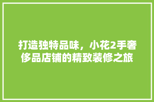 打造独特品味，小花2手奢侈品店铺的精致装修之旅