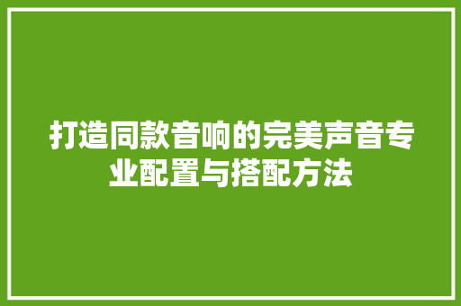 打造同款音响的完美声音专业配置与搭配方法