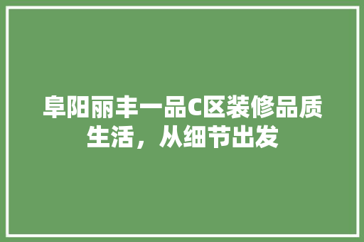 阜阳丽丰一品C区装修品质生活，从细节出发