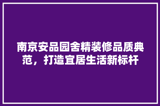 南京安品园舍精装修品质典范，打造宜居生活新标杆