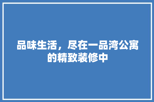 品味生活，尽在一品湾公寓的精致装修中