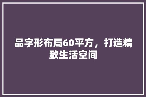 品字形布局60平方，打造精致生活空间