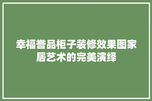 幸福誉品柜子装修效果图家居艺术的完美演绎