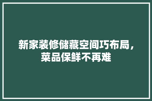 新家装修储藏空间巧布局，菜品保鲜不再难