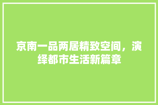 京南一品两居精致空间，演绎都市生活新篇章