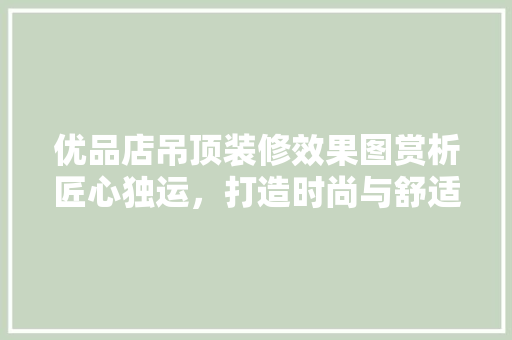 优品店吊顶装修效果图赏析匠心独运，打造时尚与舒适的购物空间