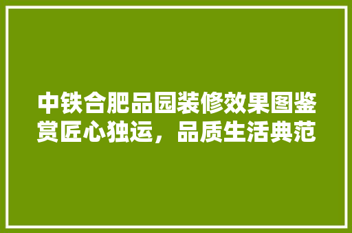 中铁合肥品园装修效果图鉴赏匠心独运，品质生活典范