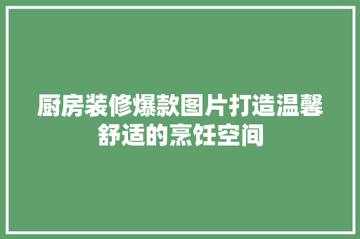 厨房装修爆款图片打造温馨舒适的烹饪空间