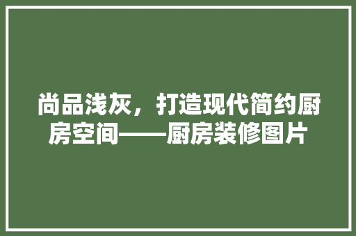 尚品浅灰，打造现代简约厨房空间——厨房装修图片