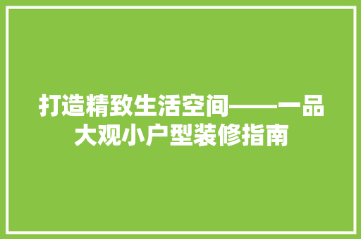 打造精致生活空间——一品大观小户型装修指南