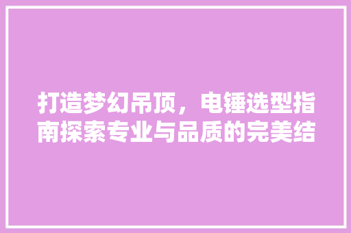 打造梦幻吊顶，电锤选型指南探索专业与品质的完美结合