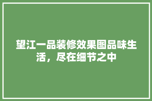 望江一品装修效果图品味生活，尽在细节之中