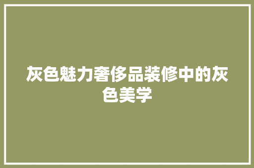 灰色魅力奢侈品装修中的灰色美学
