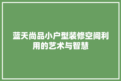 蓝天尚品小户型装修空间利用的艺术与智慧
