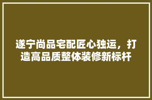 遂宁尚品宅配匠心独运，打造高品质整体装修新标杆