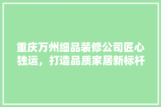 重庆万州细品装修公司匠心独运，打造品质家居新标杆