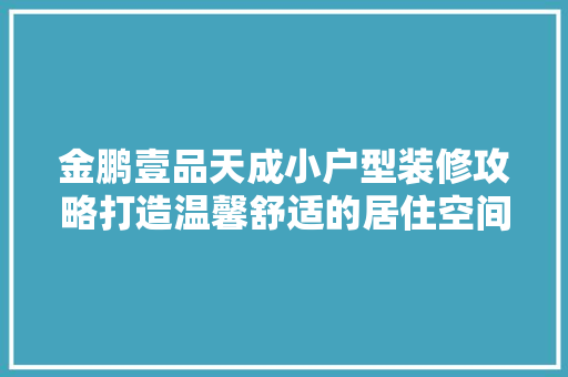 金鹏壹品天成小户型装修攻略打造温馨舒适的居住空间