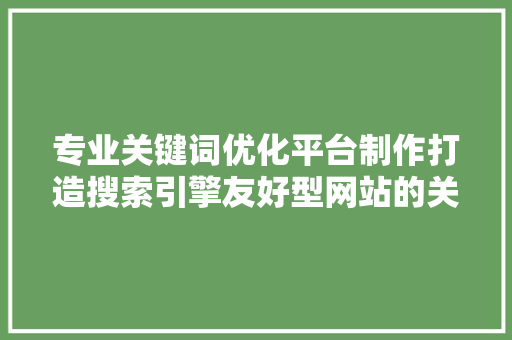 专业关键词优化平台制作打造搜索引擎友好型网站的关键步骤
