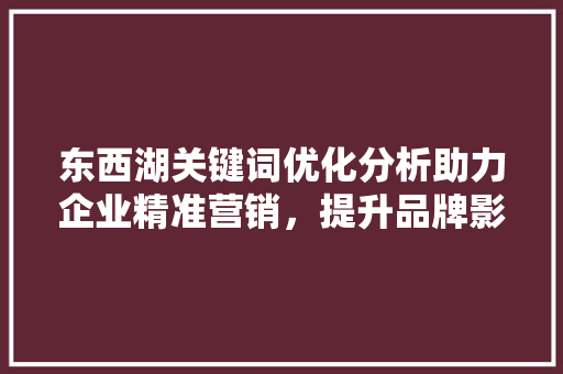 东西湖关键词优化分析助力企业精准营销，提升品牌影响力