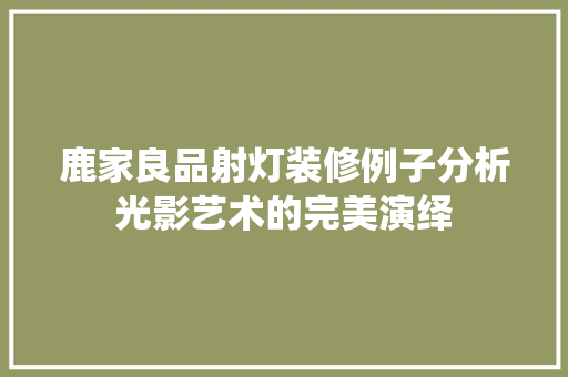 鹿家良品射灯装修例子分析光影艺术的完美演绎