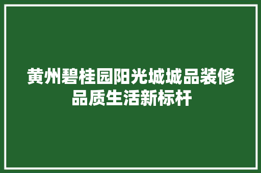 黄州碧桂园阳光城城品装修品质生活新标杆