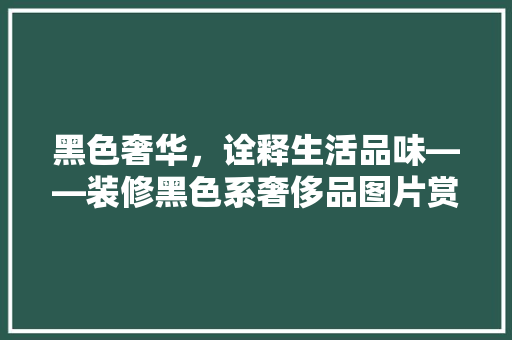 黑色奢华，诠释生活品味——装修黑色系奢侈品图片赏析