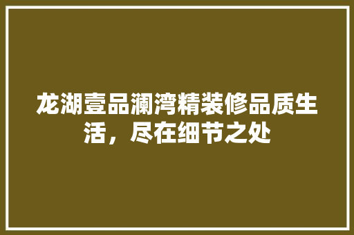 龙湖壹品澜湾精装修品质生活，尽在细节之处