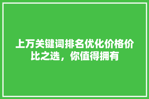 上万关键词排名优化价格价比之选,你值得拥有 上万关键词排名优化价格价比之选,你值得拥有