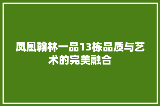凤凰翰林一品13栋品质与艺术的完美融合