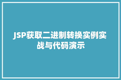 JSP获取二进制转换实例实战与代码演示