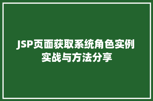 JSP页面获取系统角色实例实战与方法分享