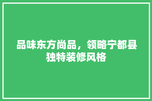 品味东方尚品，领略宁都县独特装修风格