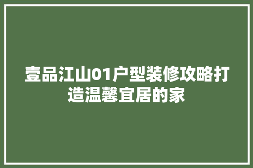 壹品江山01户型装修攻略打造温馨宜居的家